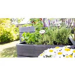 Висока грядка Graf Egro Quadro M 60x80x 25 см 4 панелі - мініатюра 3