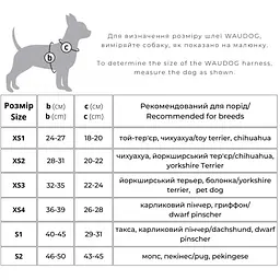Шлея для собак м'яка Waudog Clothes Рік і Морті 3, з QR паспортом, S2, 46-50х43-45 см (2906-0282) - мініатюра 2