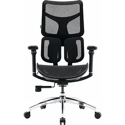 Офісне крісло Sihoo DORO S100 Mesh Black [S100-M301] [148688]