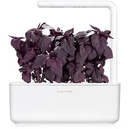 Змінний картридж Click & Grow Smart Garden Червоний базилік, 3 капсули (7427) - мініатюра 4
