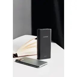Батарея універсальна Canyon 20000mAh, Input 5V/2A, Output 5V/2.1A(Max), Black (CNE-CPB2001B) - мініатюра 4