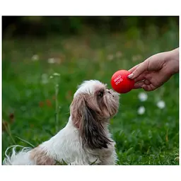 Іграшка для собак Waudog Red Ball 70 мм - мініатюра 8