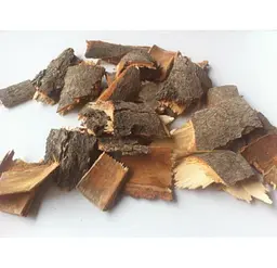 Каштан кінський Кора Гіркокаштан Горіх кінський Жолузник Aesculus hippocastanum