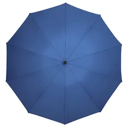 Парасолька Xiaomi Zuodu Automatic Umbrella (ZD001) Blue [68845] - мініатюра 2