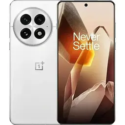 Смартфон OnePlus 13 16/512GB Arctic Dawn Global Version