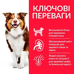 Сухий корм Hill’s SP Mature Adult 7+ Medium Breed для зрілих собак середніх порід від 7 років з куркою 14 кг - мініатюра 3