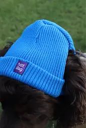 Шапка для собак Hat-Dog синя (L) - мініатюра 7