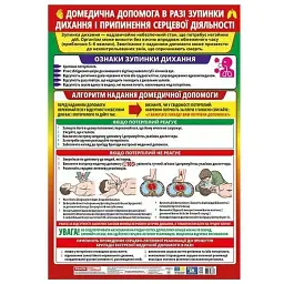 Плакат. Домедична допомога в разі зупинки дихання і припинення серцевої діяльності -
