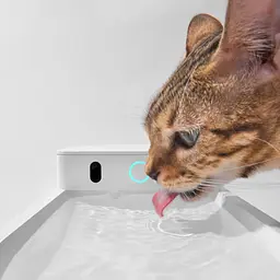 Поїлка CATLINK AI Water Fountain - Wireless White - мініатюра 3