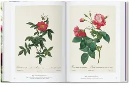 Redouté. The Book of Flowers - мініатюра 5