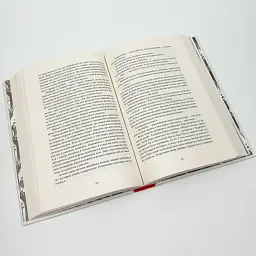 Тіні згущуються - Вікторія Шваб | Nebo Booklab Publishing, книга українською, нова, тверда - мініатюра 4