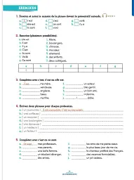 100% FLE A2. Grammaire essentielle du français Livre + didierfle.app - мініатюра 3
