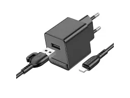 Мережевий зарядний пристрій Borofone BAS11A Erudite + Lightning to USB Type-A cable Black (6941991104619)