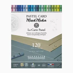 Блок пастельного паперу Sennelier Pastel Card, 24×30 см, 12 аркушів, Відтінки сірого