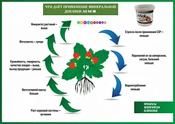 Ґрунтополіпшувач для плодово-ягідних AdSoil Fruit 2.2 л - мініатюра 2
