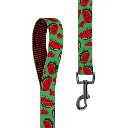 Повідець для собак Barksi BronzeDog Urban FRUITS Кавун M - мініатюра 2
