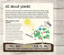 Grow. A Family Guide to Growing Fruit and Veg - мініатюра 9