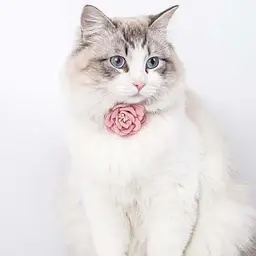 Нашийник для котів Kitty, прикрашений милою квіткою - мініатюра 2