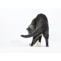 Іграшка для котів Cheerble Wicked Ball M3 (Apricot Beige) (CWQ02A) - мініатюра 9