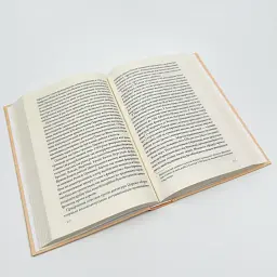 Франція: історія пригод — Грехем Робб | Клуб Сімейного Дозвілля, книга українською, нова, тверда - мініатюра 3