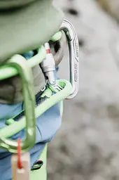 Карабін Edelrid HMS Bullet Screw Eco Silver (1017-737880001070) - мініатюра 2