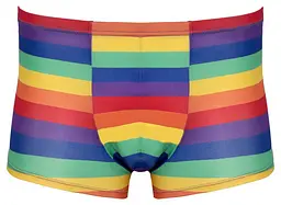 Чоловічі труси Svenjoyment Rainbow XL (мульті) - мініатюра 4