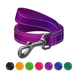 Повідець для собак WAUDOG Nylon Mono світловідбивний L-XXL 25 мм, 200 см, фіолетовий (46389) - мініатюра 2