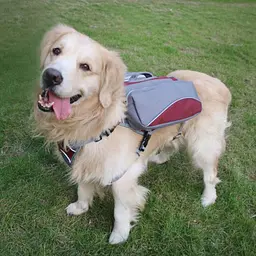 Сумка-сідло для собак Voyager Pet Dog Bagpack - мініатюра 6