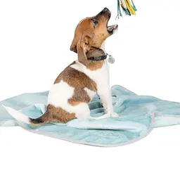 Плед Pet Fashion Bliss 2, 77x100 см, м'ятний - мініатюра 5