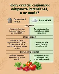 Природне калійно-магнієве гранульоване добриво Patent KALI (Патент Калій) 1 кг - мініатюра 5