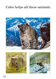 Ladybird Readers. Level 1. Animal Colors - мініатюра 2
