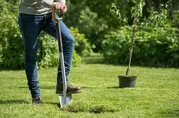 Лопата штикова закруглена Fiskars Xact (1066729) - мініатюра 5