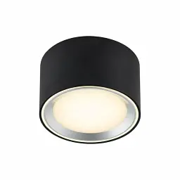 Точковий світильник Nordlux FALLON 47540103
