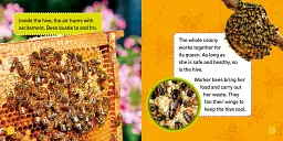 Explore My World: Honey Bees - мініатюра 3