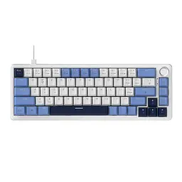 Ігрова механічна дротова клавіатура Ajazz Ak690 / 68 клавіш / Hot-Swap / RGB / Melard Switch MC / White Blue