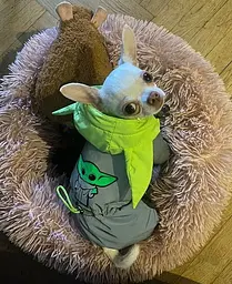 Комбінезон Smart Pet Grogu