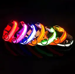 Світлодіодний нашийник для собак Derby нейлоновий S помаранчевий - мініатюра 2