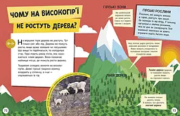 Енциклопедія юних розумників Ранок Допитливим сюди. ДОВКОЛАПИТАНЬ - Ненсі Дікман (НЕ1745007У) - мініатюра 8