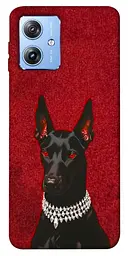 TPU чохол Demsky Premium doberman для Motorola Moto G84