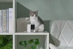 Компактна HD-камера Petcube Cam - мініатюра 6