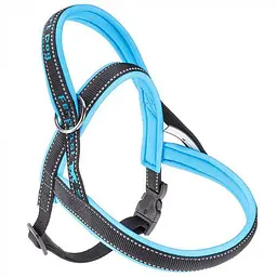 Шлеї для собак Ferplast Sport Dog P XS (FR78004825)