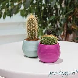 Горщик для квітів Serinova Colorful, 1.3 л, світло-жовтий (ES05-PudraSari) - мініатюра 7