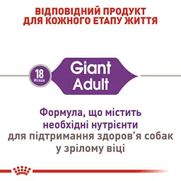Сухий корм для дорослих собак великих розмірів Royal Canin Giant Adult, 4 кг (3009040) - мініатюра 8