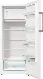Холодильник однокамерний Gorenje RB615FEW5 - мініатюра 10