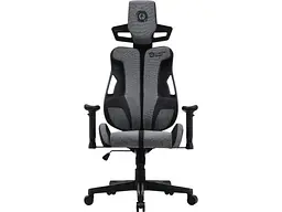 Компьютерное кресло для геймера Canyon Morphos ABCH01 Grey (CNS-ABCH01GYB)