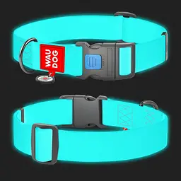 Нашийник для собак Waudog Waterproof з QR паспортом, світлонакопичувальний, пластиковий фастекс, XXL, 46-70х4 см, бірюзовий - мініатюра 3
