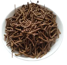 Береза Сережка Betula pendula - мініатюра 1