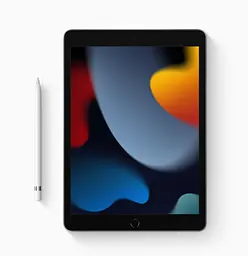 Планшет Apple iPad 10.2` (9 Gen) 256GB Wi-Fi Space Gray 2021 (MK2N3) [60255] - мініатюра 4