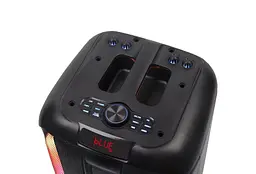 Колонка портативна акумуляторна Bluetooth 8"х2 потужність 100Вт з мікрофоном радіо пульт та світломузикою UKC NDR-1095 - мініатюра 8