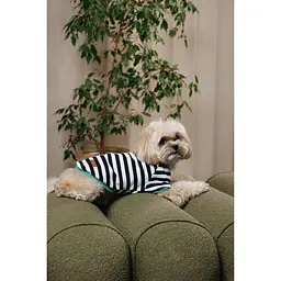 Футболка Pet Fashion Breeze для собак XХS - мініатюра 8